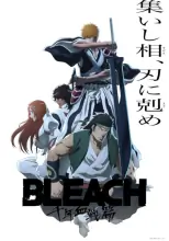 BLEACH: Sennen Kessen-hen - Soukoku-tan –